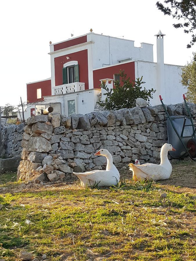 Masseria Trulli Sull'Aia Чистерніно Екстер'єр фото